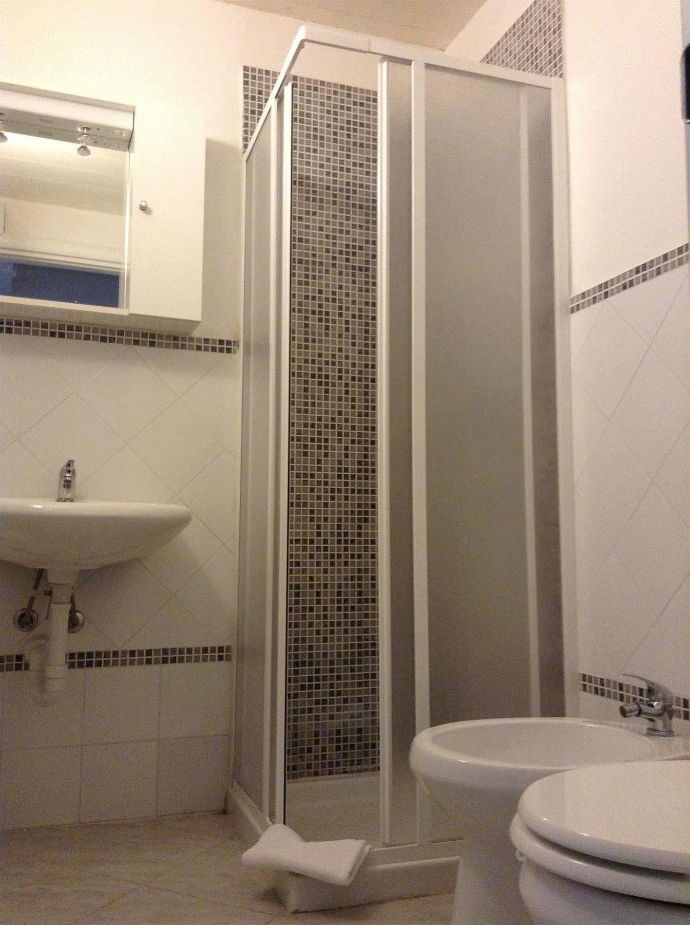 Apartment Loft Regio Parco Turin